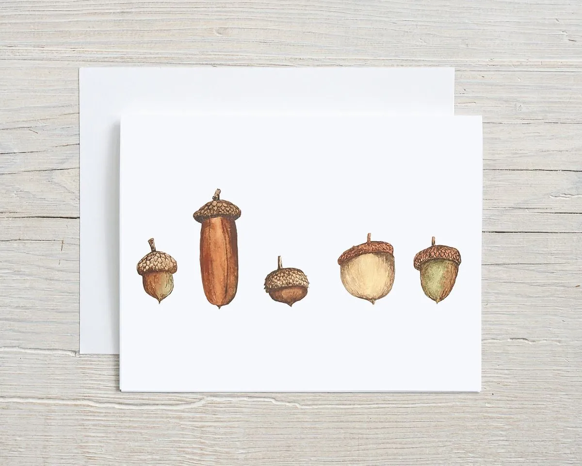 Acorns Greeting Card