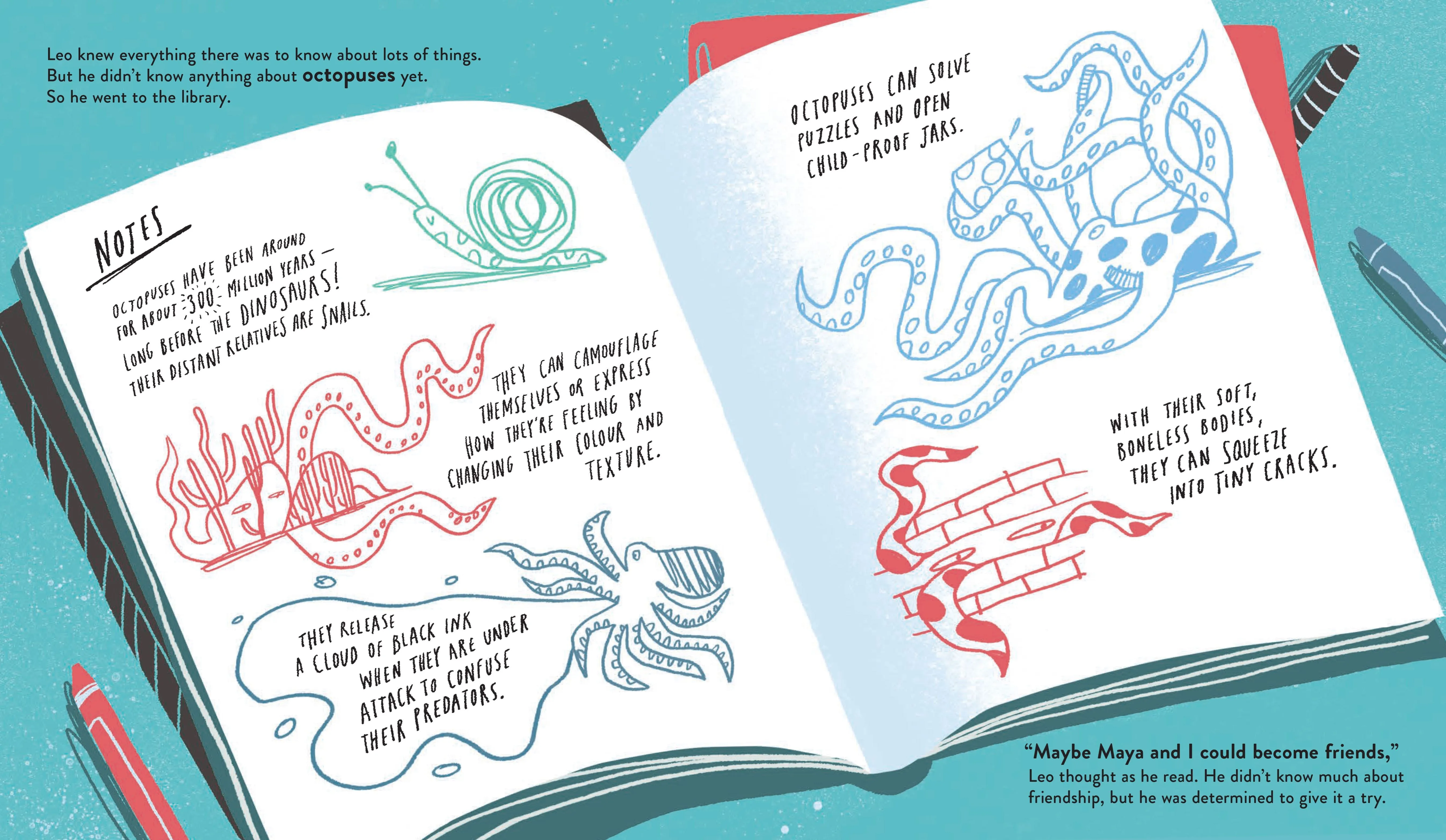 Book - Leo & The Octopus