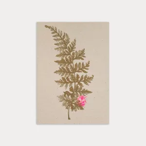 Fern Eco Risography Postcard