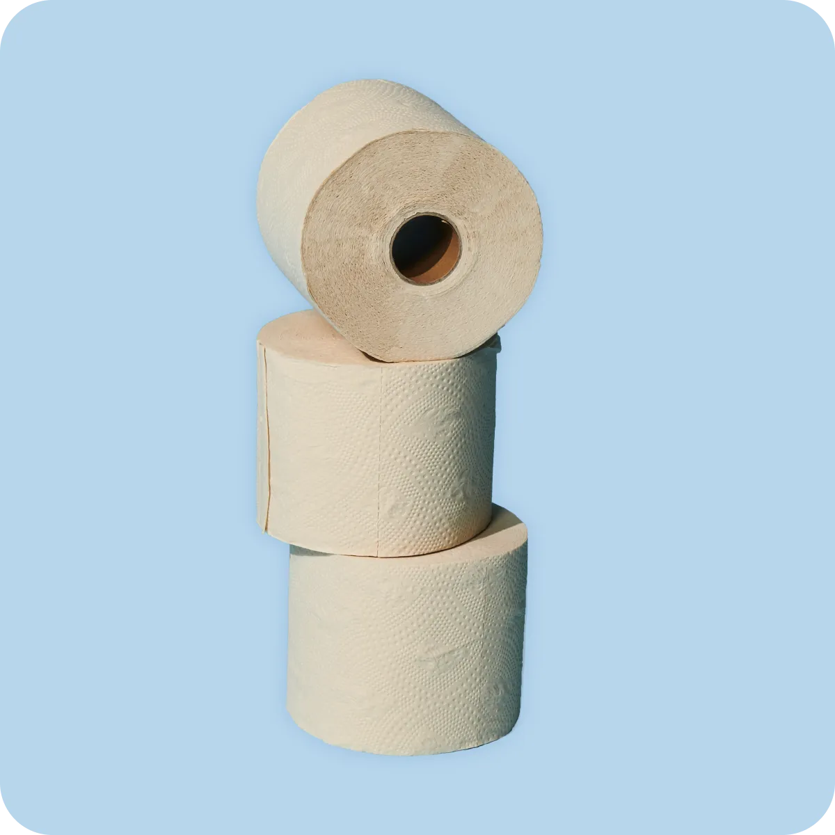 Premium Bamboo Toilet Paper 36 Pack