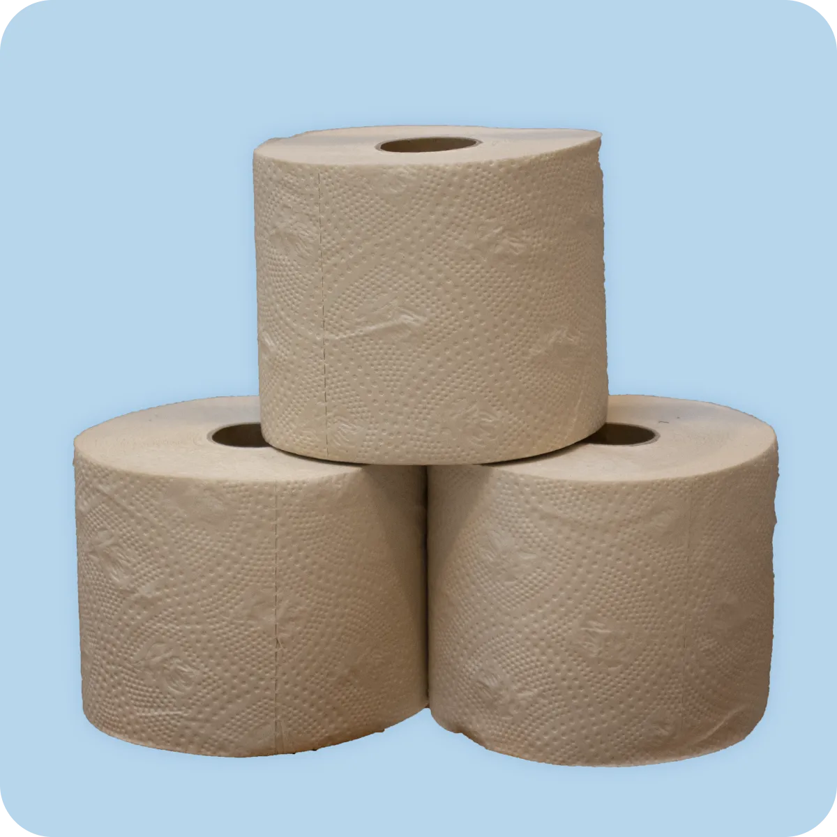 Premium Bamboo Toilet Paper 36 Pack